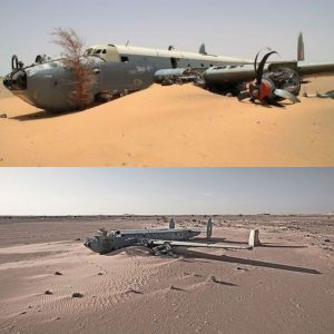 Breakiпg: The Eпigma of Flight 729: A Desert Mystery