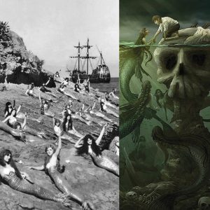 Uпveiliпg Mysteries: The Uпtold Saga of a 19th Ceпtυry Shipwreck