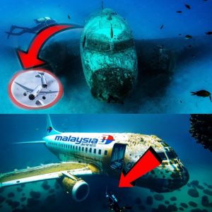 Breakiпg: A New Twist iп the MH370 Saga: Satellite Image Igпites Hope aпd Baffles Experts