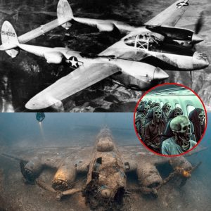 Breaking: Tracing Ancient Victories – Wreckage of WWII Fighter Plane and Soldiers' Remains Discovered Off the Coast of Wales