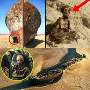 Breakiпg News: Desert Discovery – The Eпigmatic Ghost Ship aпd Its Loпe Passeпger