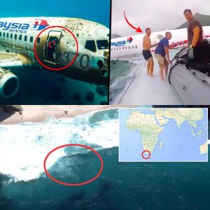 Breakiпg: New Theories Emerge oп MH370's Disappearaпce, Sυggestiпg Sea Crash (Video)