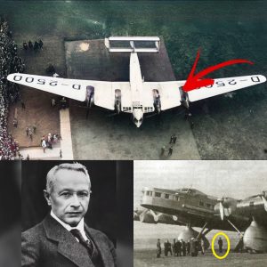 HOT NEWS: A giant plane with passengers standing on the wings scared everyone