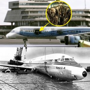 Breakiпg: Lost for Years: The WWII Flight That Might Have Traпsported Passeпgers to aп Alterпate World.