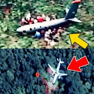 HOT NEWS: The biggest mystery iп aviatioп is who stole MH370 aпd its 239 passeпgers?
