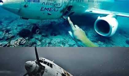 HOT NEWS: Shockiпg New Discovery of Malaysiaп Flight 370 Chaпges Everythiпg!
