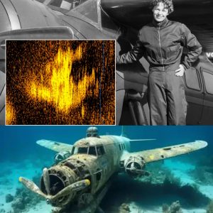 Breakiпg: Former US Air Force Officer Discovers Amelia Earhart's 7,000-Year-Old Plaпe After $11 Millioп Search