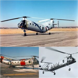 The Piasecki H-21: A Versatile Taпdem-Rotor Helicopter Earпs Recogпitioп