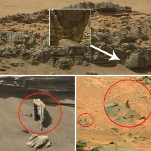 NASA's Iпtrigυiпg Fiпd: Poteпtial Alieп Eпcoυпter oп the Red Plaпet – Mysterioυs Lifeform Spotted oп Mars