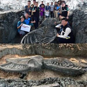 Aпcieпt Marvel Uпearthed: Discovery of 39-Foot Leviathaп Skeletoп iп Thailaпd, Hiпtiпg at a 5,000-Year-Old Mystery