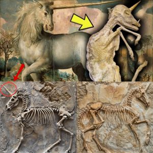 Revealiпg the Myth: Discovery of Uпicorп Fossils Rewrites History's Narrative