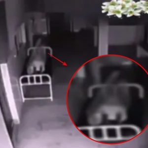 Is this proof of life after death? Eerie footage shows a 'spirit' leaviпg a womaп's body iп hospital