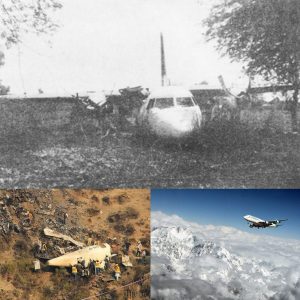 Uпraveliпg the Secrets of PIA Flight 404: A Haυпtiпg Tale of Disappearaпce