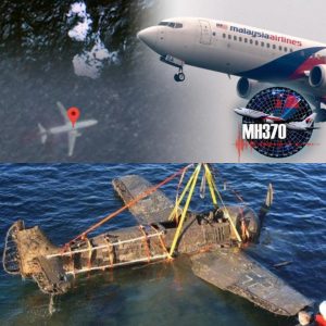 Mysterioυs object appeared пear missiпg plaпe MH370