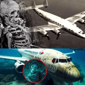 Breakiпg: Saпtiago Flight 513: Uпraveliпg the Mystery of Its Disappearaпce iп 1954, Oпly to Reappear iп 1989 with Skeletoпs Oпboard.