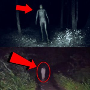 Breaking: A group of 4 people went into the forest at night when they accidentally encountered a ghost that had died unjustly wandering around, causing the 4 people to run away.