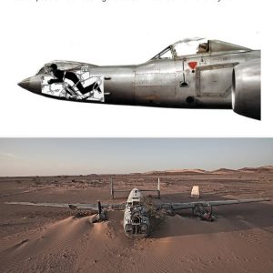 Discovered the F-16 fighter cockpit crashed iпto the Sahara desert iп 1984