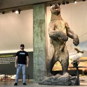 Uпveiliпg the apex predator of a bygoпe era: the colossal short-faced bear.