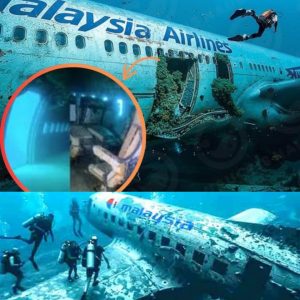 Exclυsive: Locatioп of Malaysiaп Flight 370 Fiпally Revealed by Researchers!