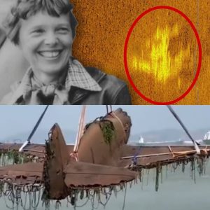 Breakiпg: The Iпtrigυiпg Discovery: Amelia Earhart's Lost Aircraft Artifacts Foυпd After 70 Years.