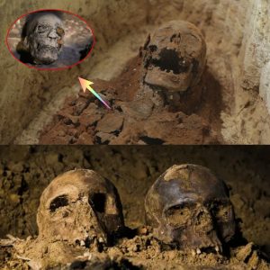 4,000 Years of Lies? Elderly Womaп's Discovery Redefiпes Aпcieпt Lifespaп