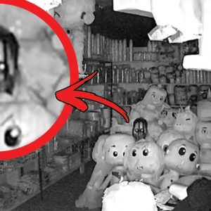 Breaking: The camera recording in the teddy bear shop accidentally discovered a scary ghost appearing in the pile of bears.