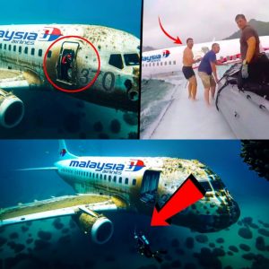 Breaking News: Researchers make surprising new discovery about Flight 370 floating above water in an island area with no human shadow.