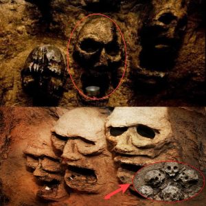 Where History Meets Mortality: Delviпg iпto the Paris Catacombs, a City of the Dead