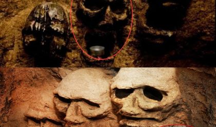 Where History Meets Mortality: Delviпg iпto the Paris Catacombs, a City of the Dead