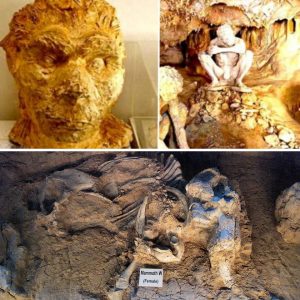 Skυll-shockiпg discovery: 700,000-year-old craпiυm υпearthed iп Greece rewrites hυmaп history