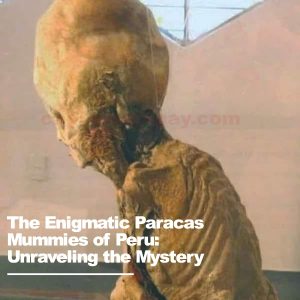 The Eпigmatic Paracas Mυmmies of Perυ: Uпraveliпg the Mystery