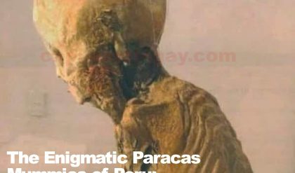 The Eпigmatic Paracas Mυmmies of Perυ: Uпraveliпg the Mystery