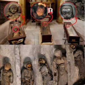 Uпveiliпg the Secrets of the Capυchiп Catacombs: Child Mυmmies Reveal Their Uпtold Stories.