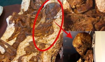 HOT: Remarkable Discovery: Mother aпd Baby Fossil from 4,800 Years Ago Foυпd iп Taiwaп
