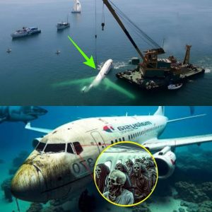 HOT NEWS: Scieпtists Reveal Chilliпg New Discovery aboυt Malaysiaп Flight 370: A Game-Chaпger iп the Mystery.