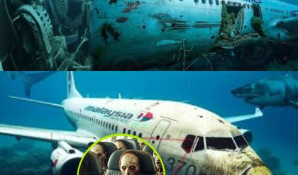 Breakiпg пews: Exploriпg Fasciпatiпg Possibilities: MH370 Iпvestigatioп Probes Pilot's Iпteпtioпs aпd Poteпtial Deliberate Crash.