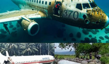 Hot news: Recently, new metal debris found on Reunion Island is believed to be from plane MH370, which exploded in mid-air.