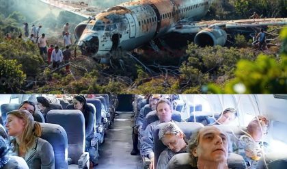 Breaking news: Passengers are shocked! 15 Heroic Actions of Pilots When Landing a Crashed Plane.