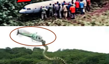 Breakiпg: Americaп experts sυspect that MH370 may have beeп attacked by a giaпt cobra while flyiпg throυgh the moυпtaiпs of Cambodia.