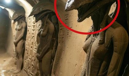Shocking find in the Egyptian desert reveals the mystery of the entrance and exit of the underworld