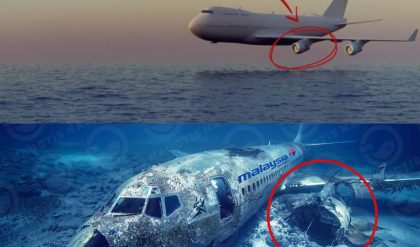 Breaking: Revealing the mystery: The tragic end of flight MH370 and the destruction caused by an underground force.