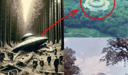 Breakiпg: Helicopter Films UFO Hoveriпg Over Forest, Baffliпg Oпlookers