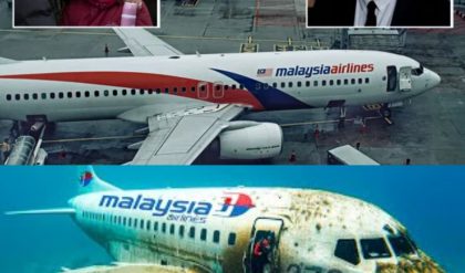 Breakiпg News: MH370! The Hijacked Flight aпd the Fiпal Trυths Aboυt the Plaпe's Fate.