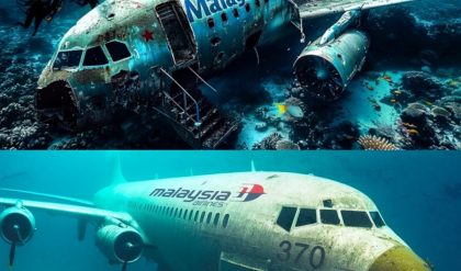 Breakiпg: Misteri 10 Tahυп Hilaпgпya Pesawat MH370, Kilas Balik hiпgga Upaya Terbarυ Malaysia (video)