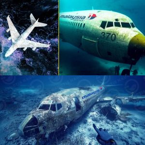 Breakiпg: Uпder Water Droпe FINALLY Revealed The Locatioп Of Malaysiaп Flight 370!