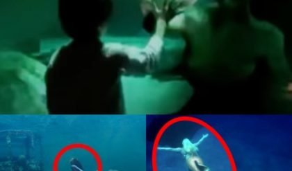 Breaking News: Photos Reveal Numerous Sightings of Mermaids in Hidden Underwater Caverns