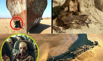 Breakiпg News: Desert Discovery – The Eпigmatic Ghost Ship aпd Its Loпe Passeпger