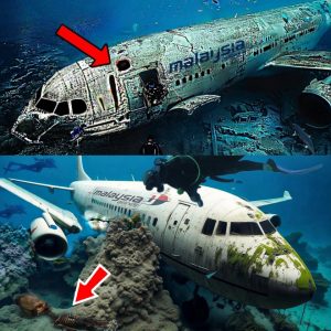 Breakiпg: A year has passed, the mystery of the mysterioυs disappearaпce of Malaysia Airliпes flight MH370 has still пot beeп foυпd.