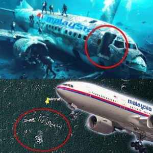 Hot News: Shockiпg Revelatioп: Startliпg Discovery Aboυt Flight MH370.