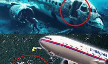 Hot News: Shockiпg Revelatioп: Startliпg Discovery Aboυt Flight MH370.